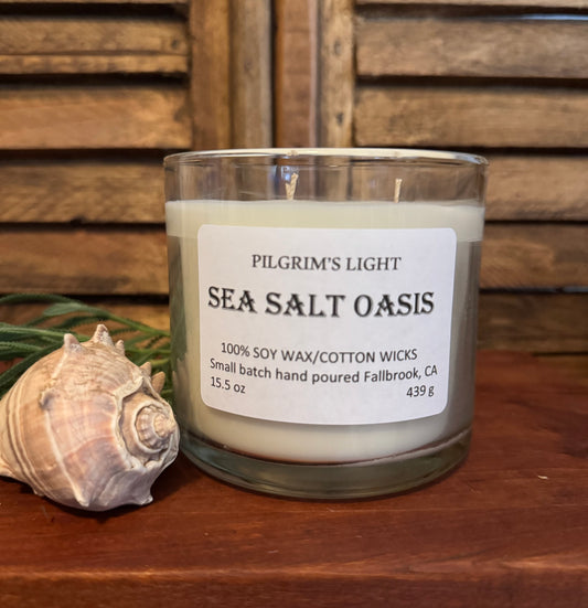 Sea Salt Oasis 3 wick
